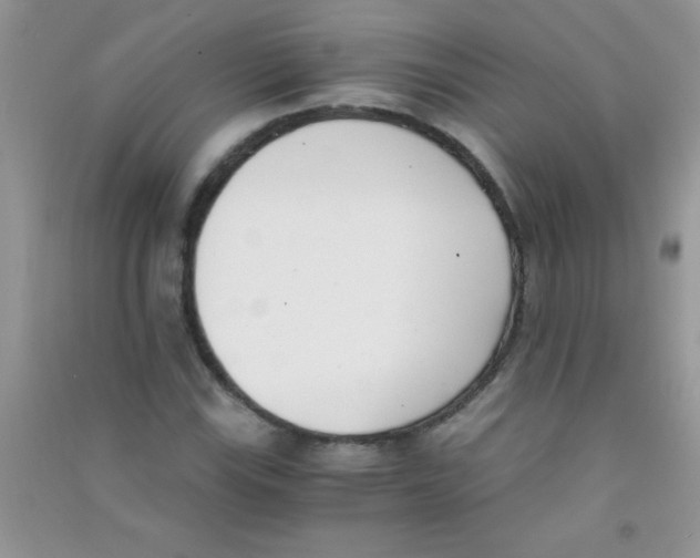 X0000090741115200708172002