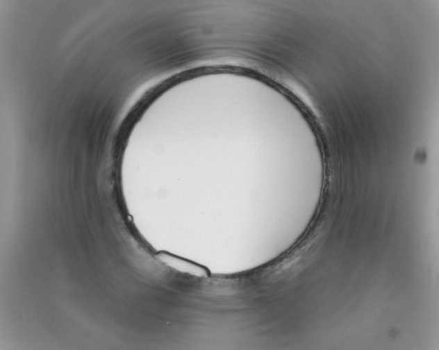 X0000090741116200708172002