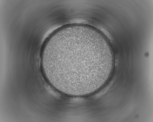 X0000090741117200708172002