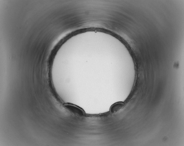 X0000090741118200708172002