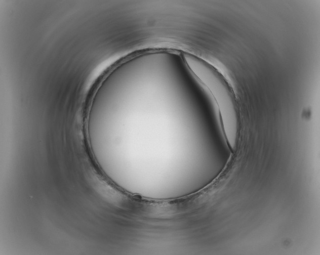 X0000090741120200708172002