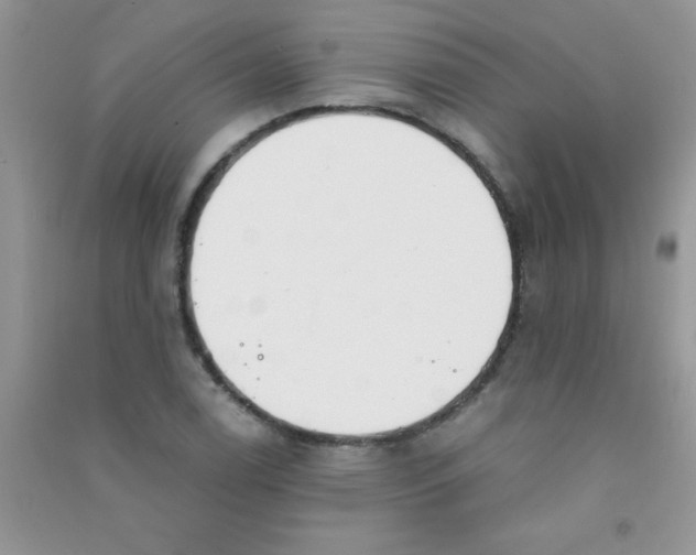 X0000090741122200708172002