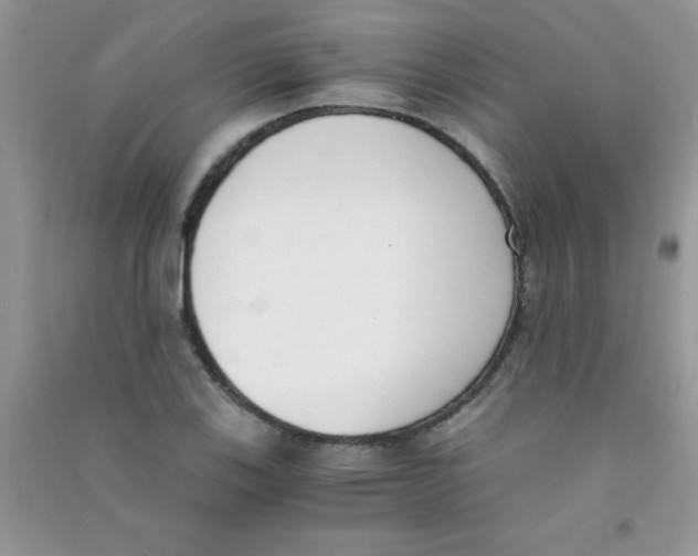 X0000090741123200708172002