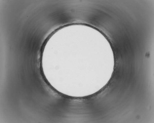 X0000090741126200708172002