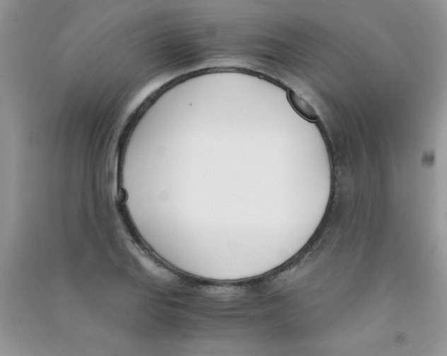 X0000090741127200708172002