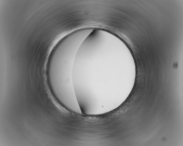 X0000090741128200708172002