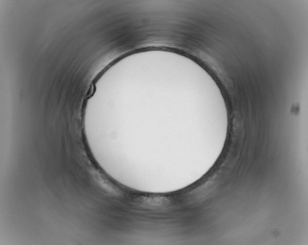 X0000090741129200708172002