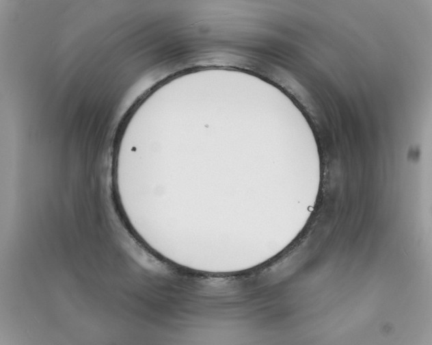 X0000090741130200708172002