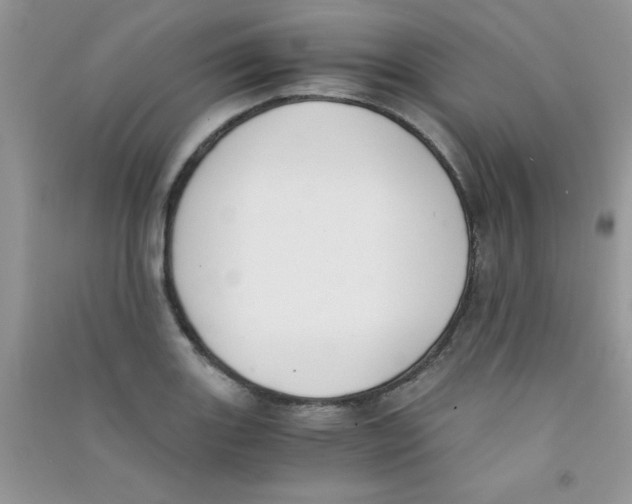 X0000090741131200708172002