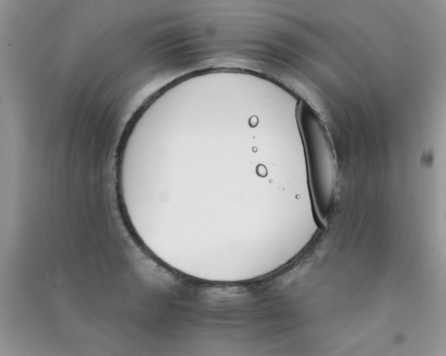 X0000090741133200708172002