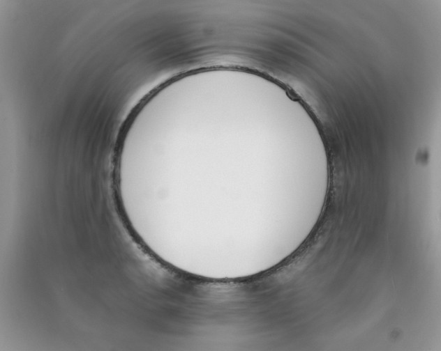 X0000090741134200708172002