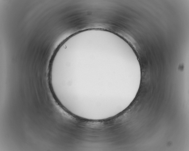 X0000090741135200708172002