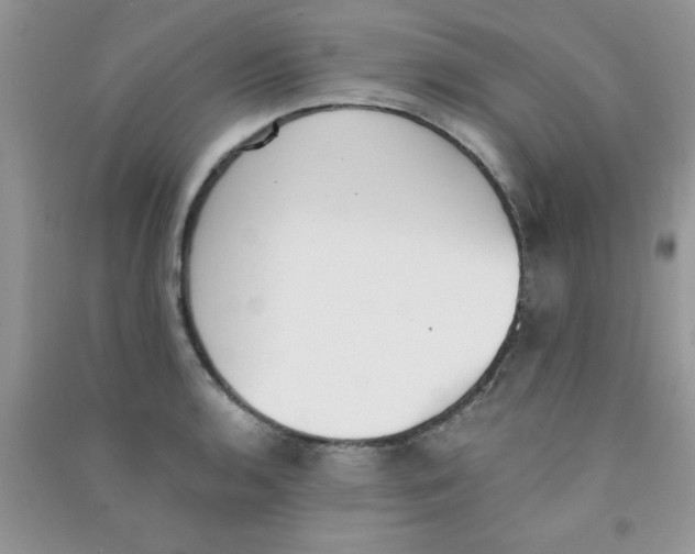 X0000090741136200708172002