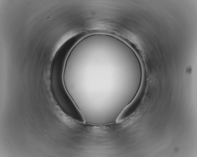 X0000090741138200708172002