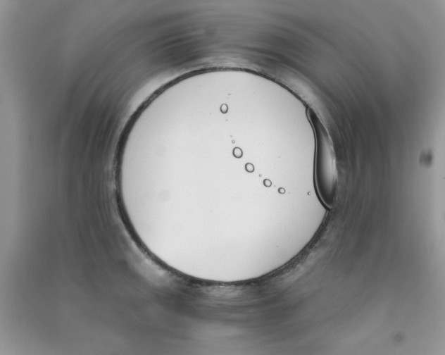 X0000090741141200708172002