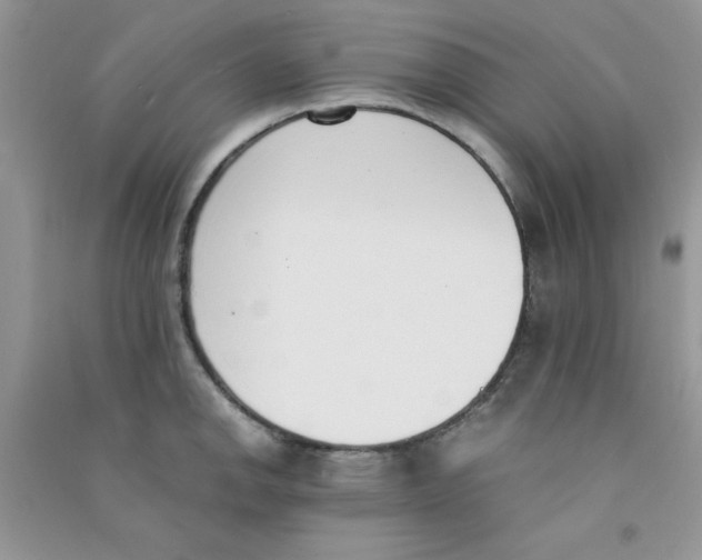 X0000090741142200708172002