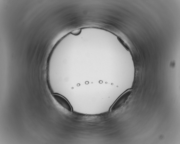 X0000090741143200708172002