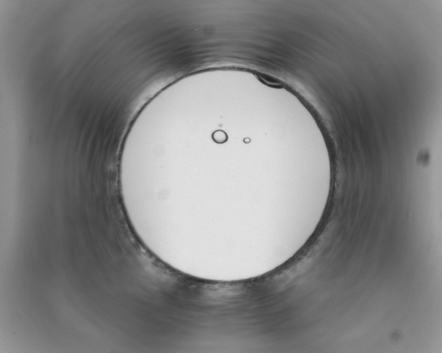 X0000090741145200708172002