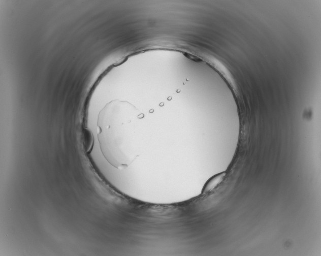 X0000090741146200708172002