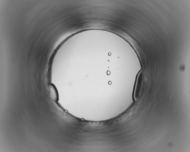 X0000090741147200708172002