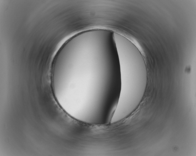 X0000090741148200708172002