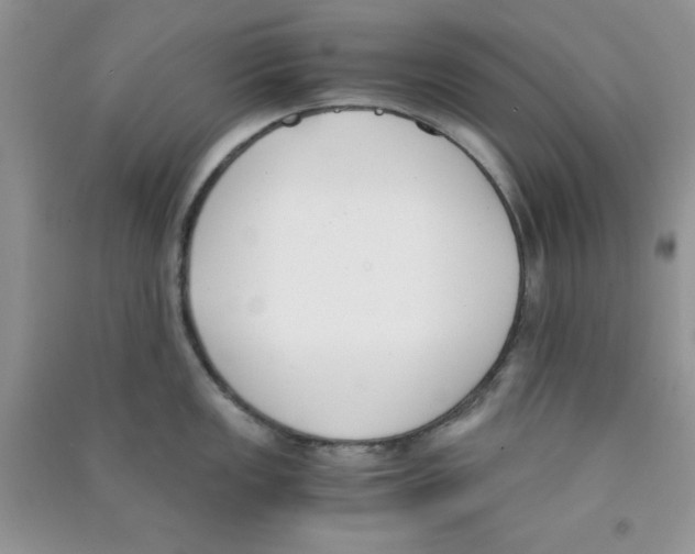 X0000090741149200708172002