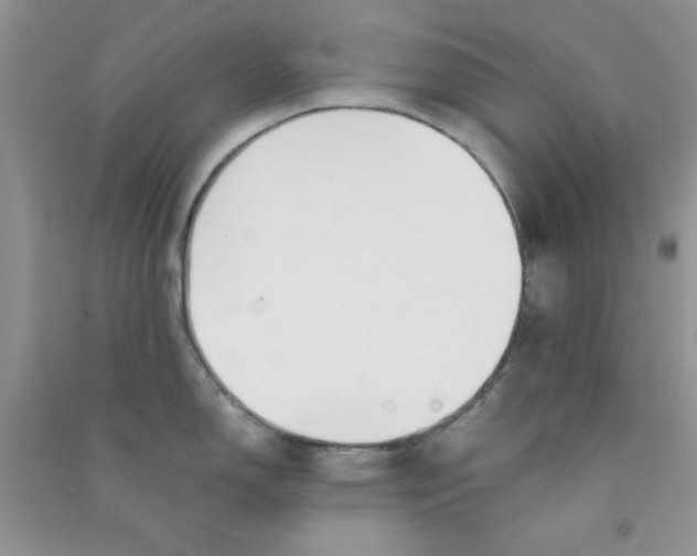 X0000090741150200708172002