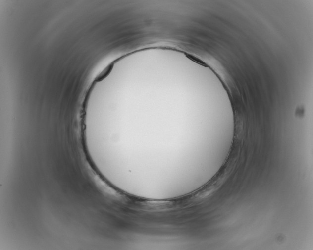 X0000090741151200708172002