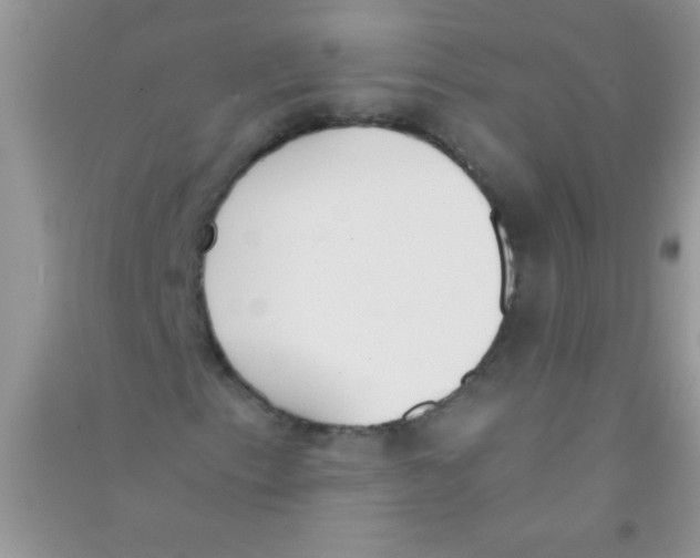 X0000090741153200708172002