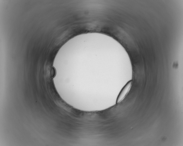 X0000090741154200708172002