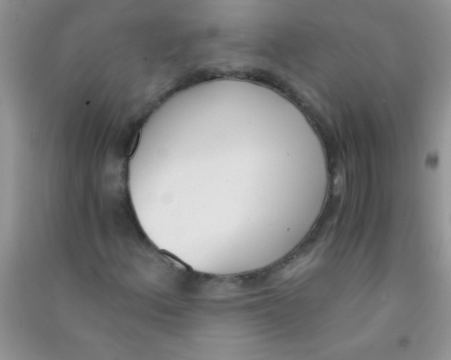 X0000090741156200708172002