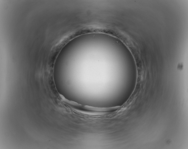 X0000090741157200708172002