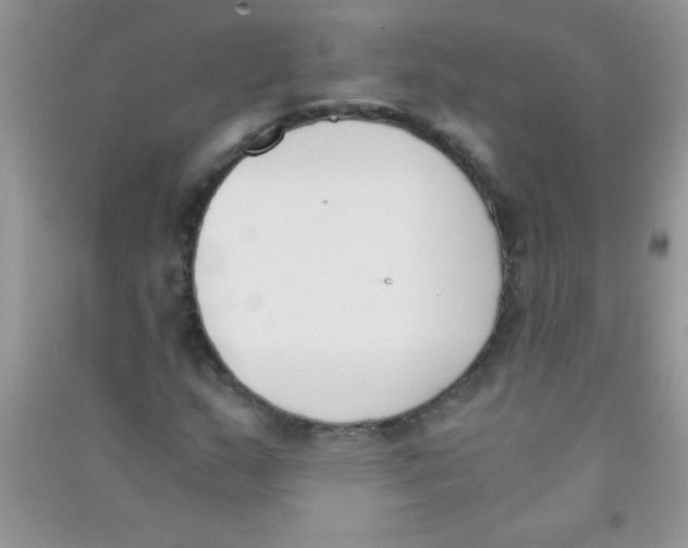 X0000090741159200708172002