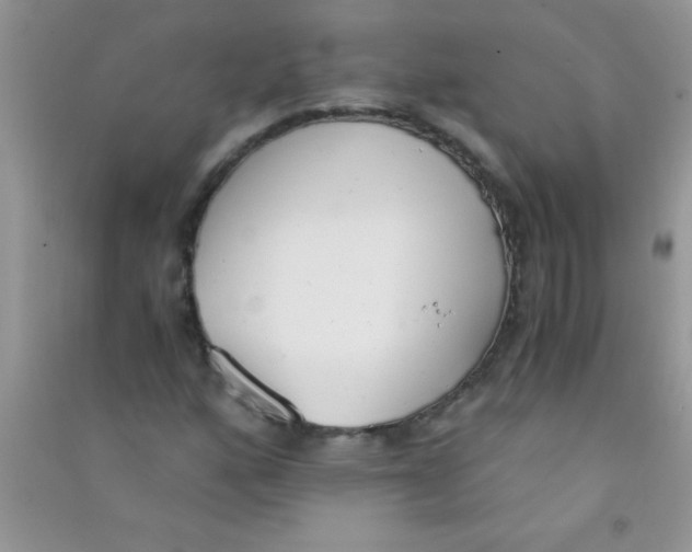 X0000090741160200708172002