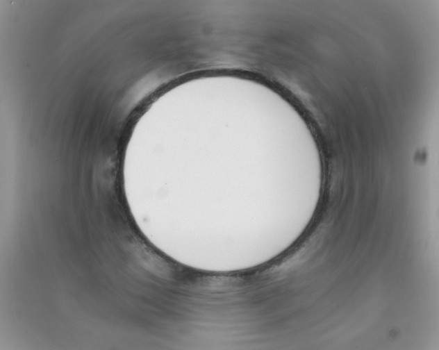 X0000090741163200708172002