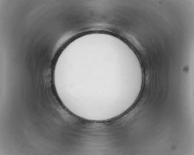 X0000090741164200708172002