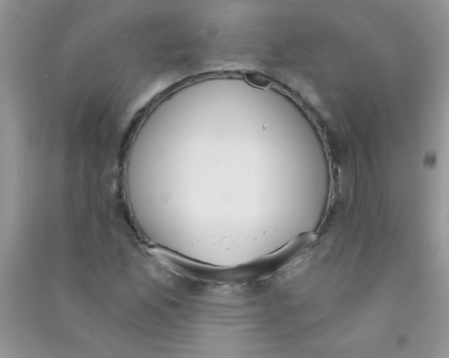 X0000090741165200708172002