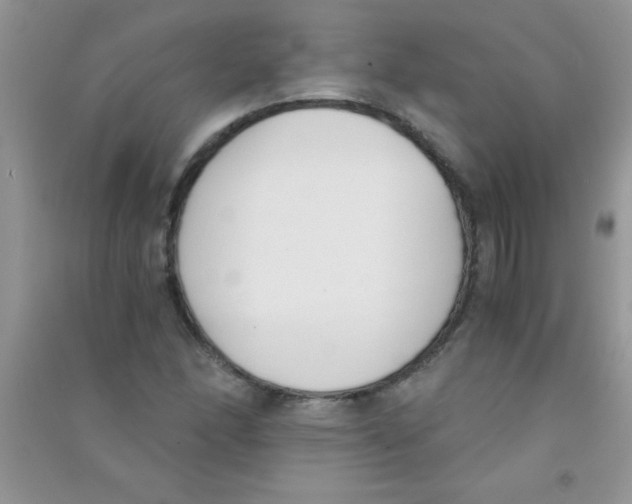 X0000090741166200708172002