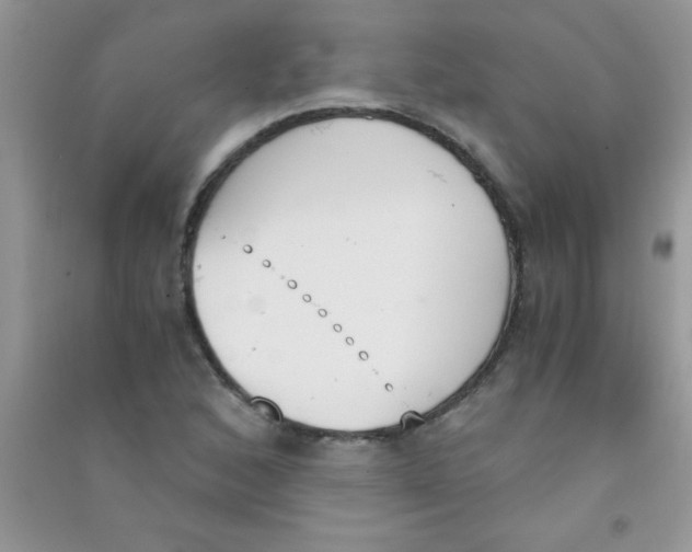 X0000090741168200708172002