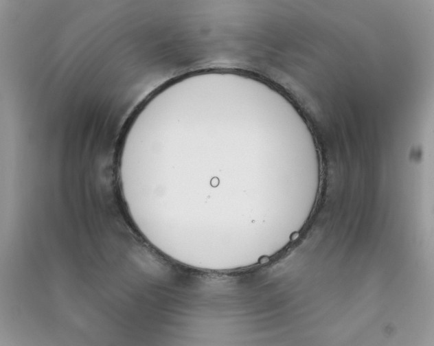 X0000090741170200708172002