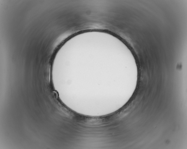 X0000090741171200708172002