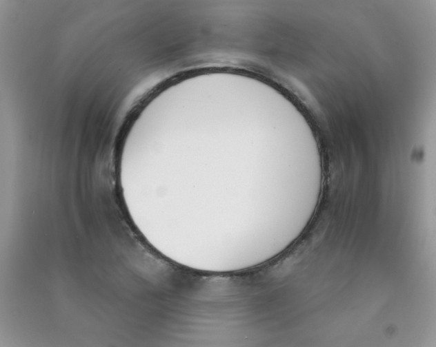 X0000090741172200708172002