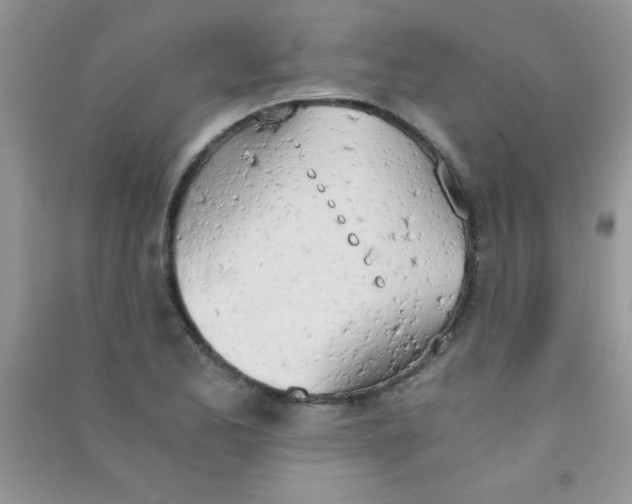 X0000090741173200708172002