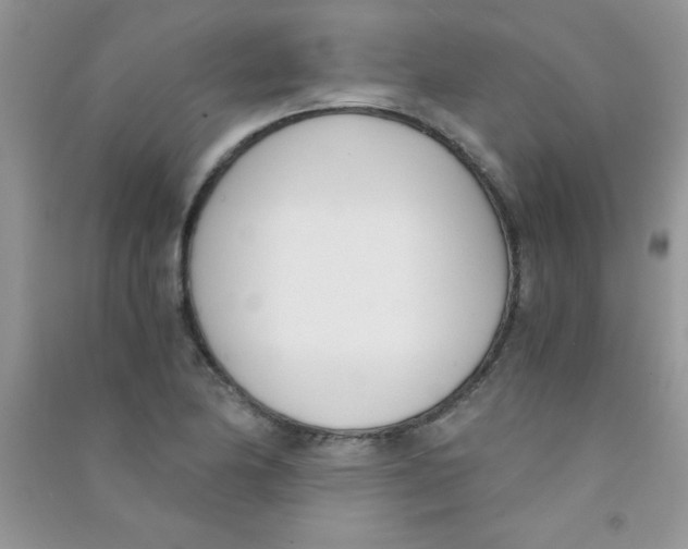 X0000090741174200708172002