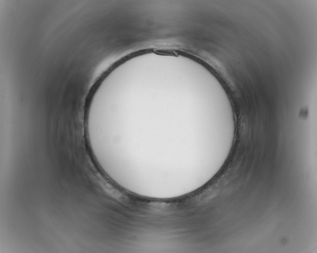 X0000090741176200708172002