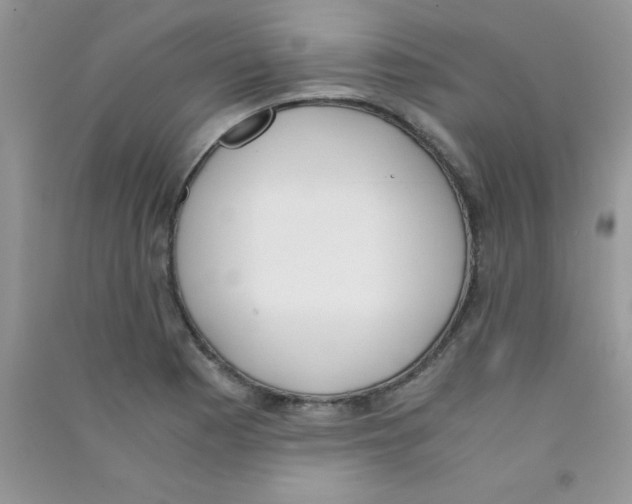 X0000090741177200708172002