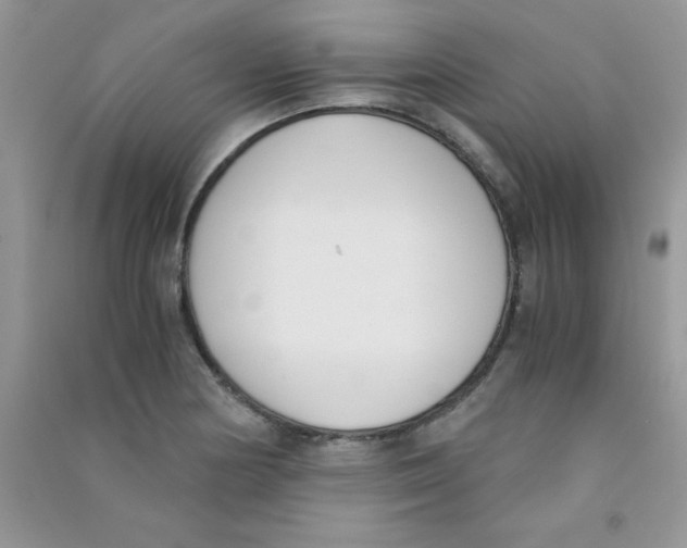 X0000090741178200708172002