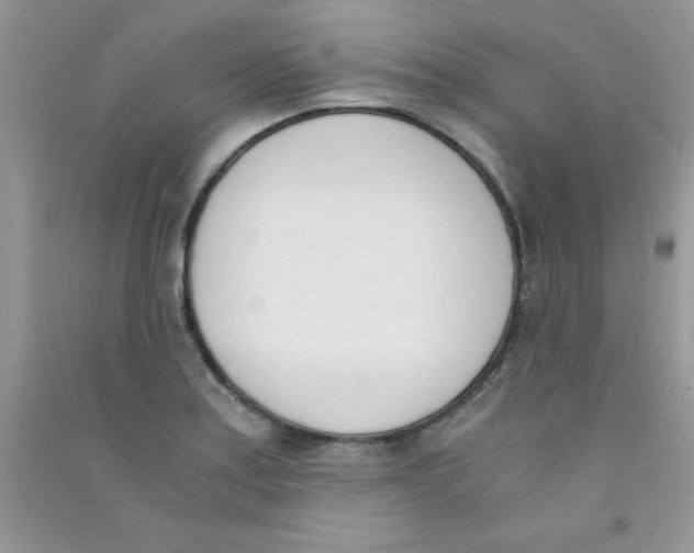 X0000090741179200708172002