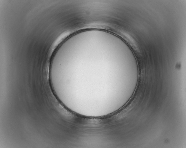 X0000090741180200708172002