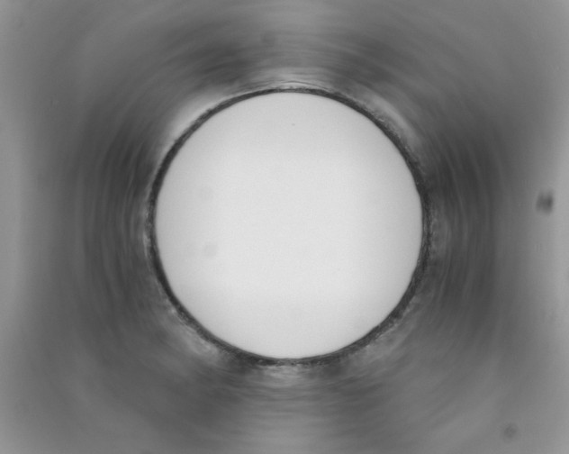 X0000090741182200708172002